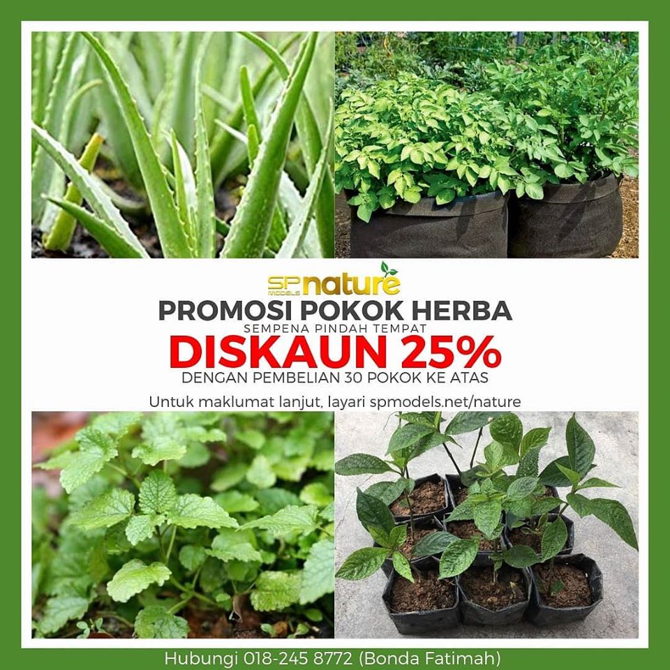 Promosi Tumbuhan Herba MUrah di Shah Alam (Selangor) & Kuala Lumpur